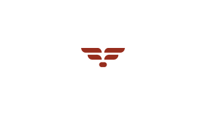 WORLD TRAVEL ALLIANCE